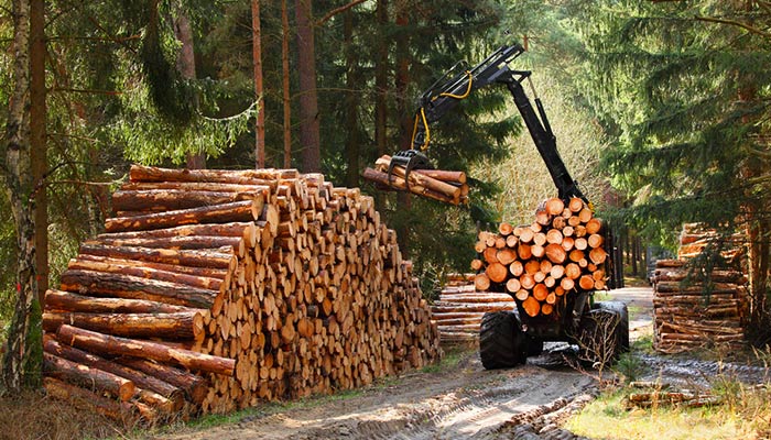 Un exploitant forestier à votre service avec la Société Forestière de l'Orient près de Troyes