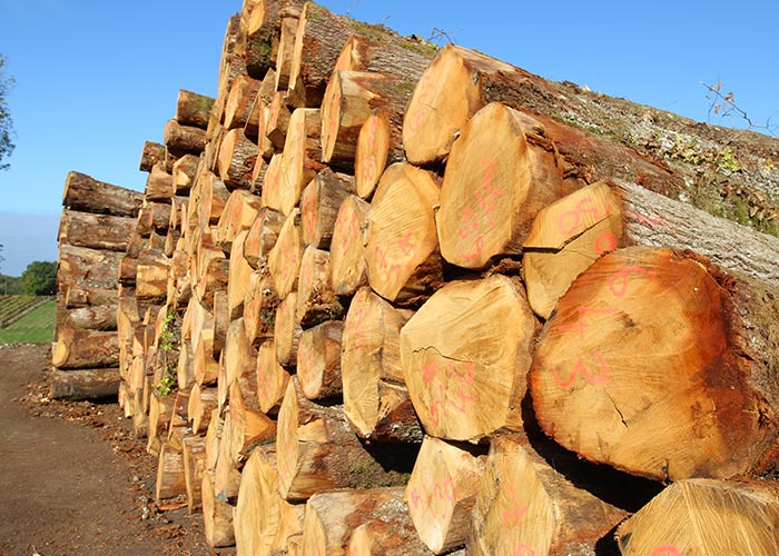 Achat de grumes de bois et de parcelles foresti&egrave;res