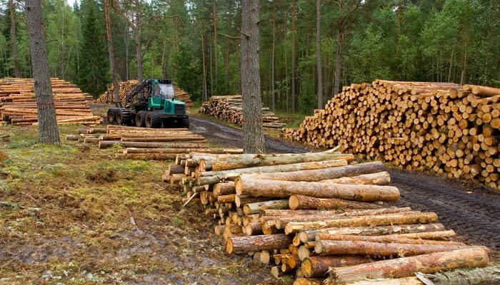 Exploitation forestière