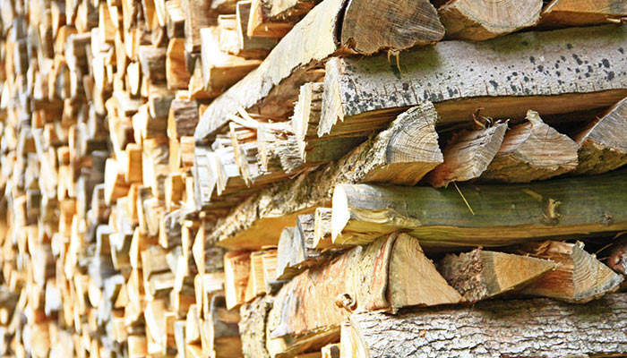 VENTE DE BOIS