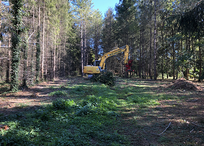 Vente de bois 